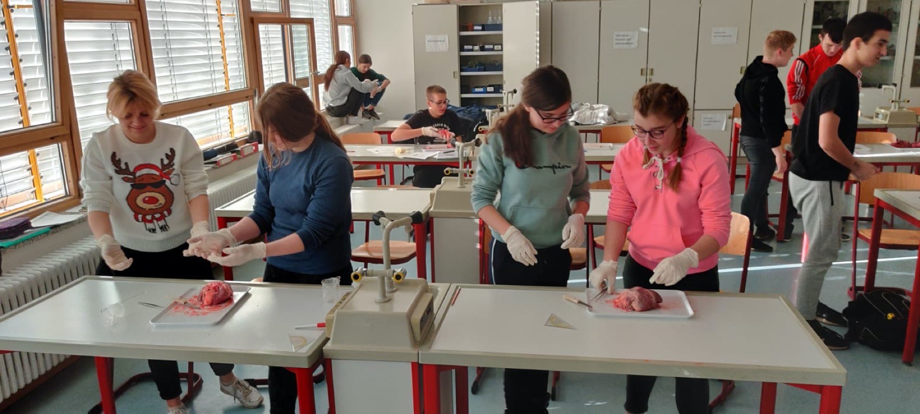 b0c2a7fb-e0bb-4a97-9ee0-374dc9b9c03a